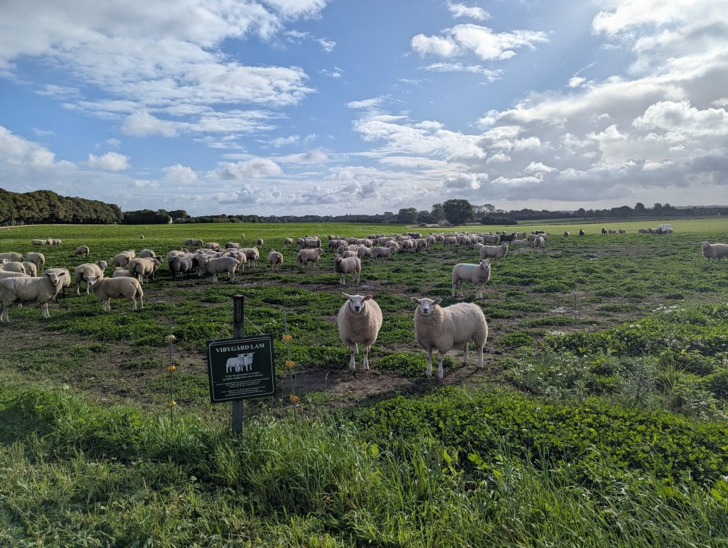Friday in the field
