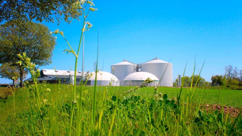 Biogas in the gas boiler or a heat pump? The answer can be&nbsp;both